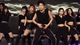 Con chó con lộn nhào nhảy lên cướp biển, trong nháy mắt biến thành một con chó sói tru lên!