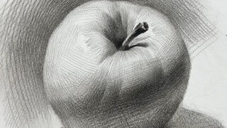 【رسم الطبيعة الصامتة】 تعلم الرسم يتطلب الجهد والمنهج العلمي