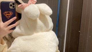 带小猫咪实现在家运动啦