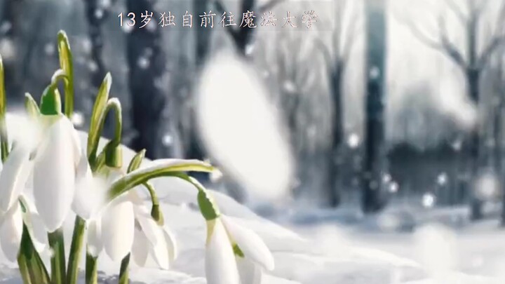 ชีวิตของลูดี้เฒ่าในอีกโลกหนึ่ง