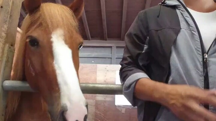 ลูบฉันหน่อย