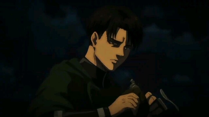 levi