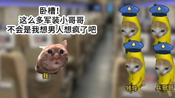 国家给我发对象了