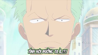 Zoro_ TÍNH HỎI ĐƯỜNG TA À.!. Kẻ mù đường lại muốn chỉ đường người khác.