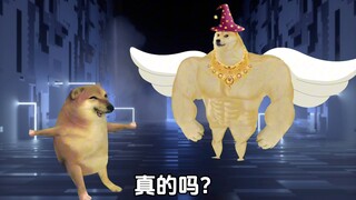 孩子，下辈子想当什么！