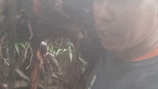 tanim muna Ako Ng saging 🥰
