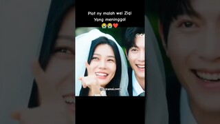 he lost his beloved bozz #shorts #viral #update #fanzhixin #tubing