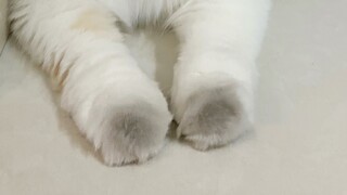 谁的小馒头脏了我不说