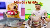 Thú Cưng TV | Tứ Mao Đại Náo #45 | Chó Golden Gâu Đần thông minh vui nhộn | Pets cute smart dog