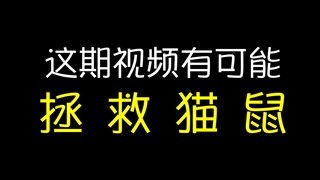 [补档]如果你对猫鼠还有一点希望，请转发该视频