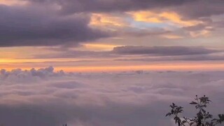 Sea of clouds