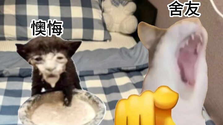 A Cat's Dream Living Expenses