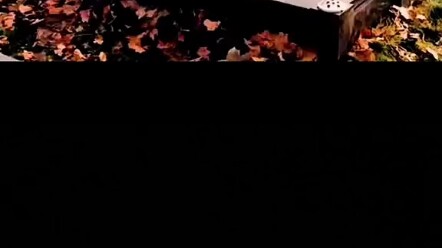 Belum mulai sudah berakhir?