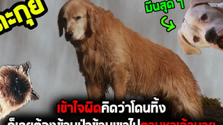 วิ่งมึน งง หลงไปทั่วป่าเพราะคิดว่าโดนทิ้ง l สปอยหนัง l - สองหมาหนึ่งแมว ใครจะพรากเราไม่ได้