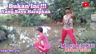 Mancing Di Kali Kebun Tales❗❗ (Micro Fishing)