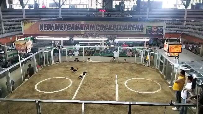 mananabas backyard gf (maecuayan cockpit arena)
