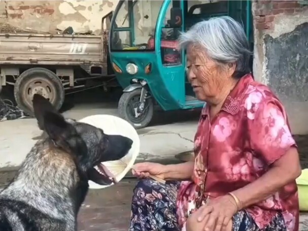 When people leave, the dog can’t bear it; when the dog leaves, people can’t bear it.
