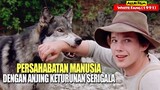 Kisah Mengharukan Dari Persahabatan Manusia Dengan Anjing Keturunan Serigala | Alur Film WHITE FANG