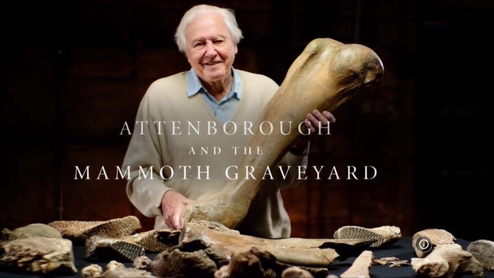 Attenborough and the Mammoth Graveyard