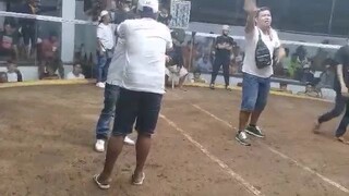 4th fight WIN 5cock dervy Valencia bukidnon gaming