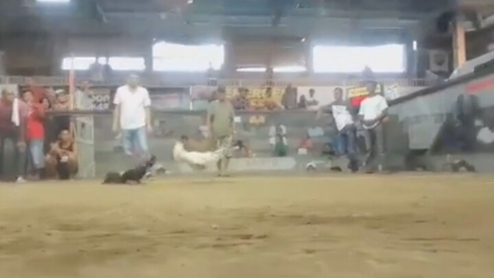 Ito last laban nya 5x na sya jn low quality #Sinbalng