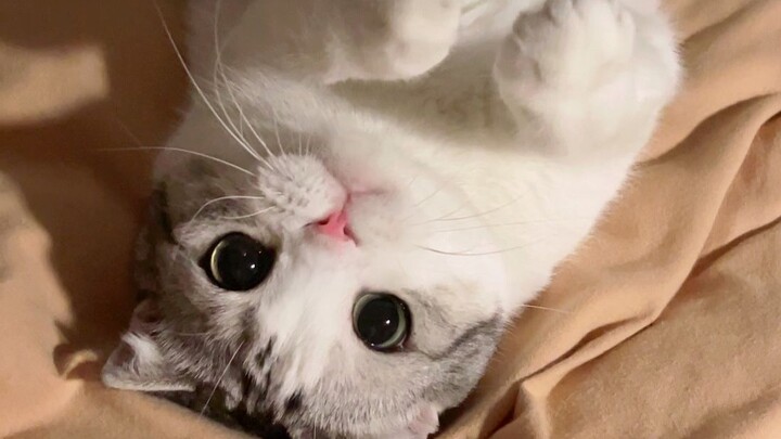 Ponselmu dipakai terbalik!