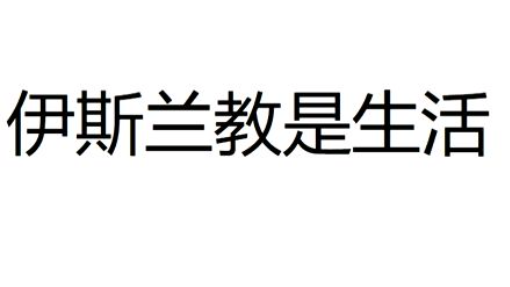 伊斯兰 宣教者怎样认识穆圣的使命(360P)