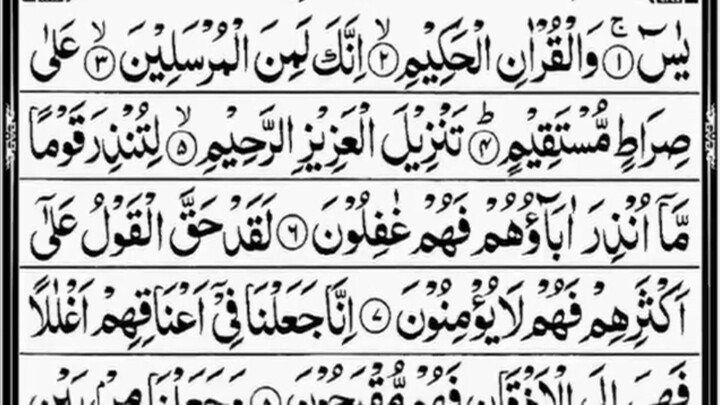 Surah Yasin/ surat Yasin / Quran tilawat