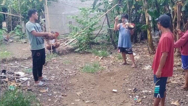 manok ni pay edong