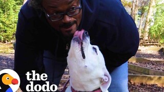 ดูว่า Pittie ที่สมบูรณ์แบบนี้เปลี่ยนชีวิตพ่อของเธอได้อย่างไร The Dodo Pittie Nation