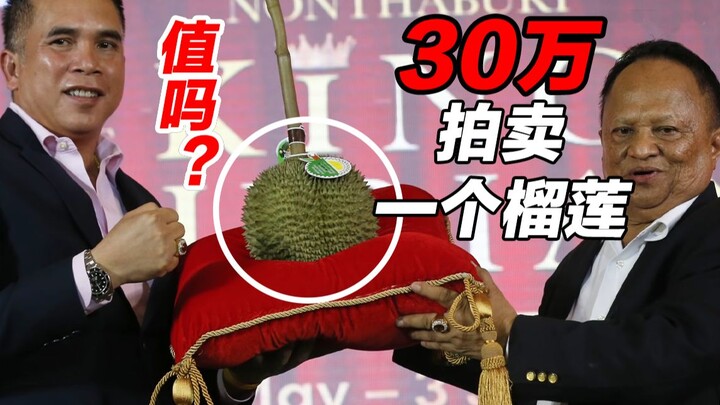 Satu kilogram 1000 yuan, kenapa durian dari "Provinsi Nonthaburi" di Thailand begitu mahal?