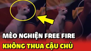 Bé mèo NGHIỆN chơi FREE FIRE hơn con trai khiến bà mẹ BẤT LỰC 😂 | Yêu Lu