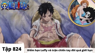 One Piece Tập 824 | Điểm hẹn Luffy và trận chiến tay đôi quá giới hạn | Đảo Hải Tặc Tóm Tắt Anime