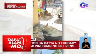 Aso, nagpalamig sa batya | Dapat Alam Mo!