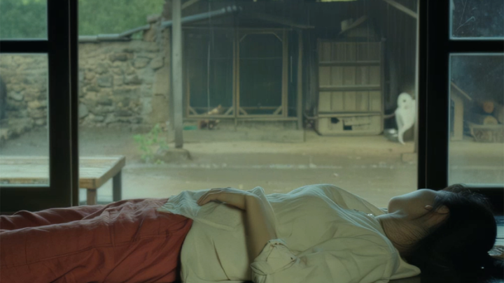 "When you are confused, go study. Studying can purify your soul."