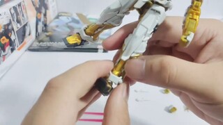 [Model Appreciation Guoge] Is RG Heretic really that bad? Playing with the RG Gold Heretic Prime Set