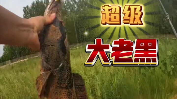 Dắt cá? Không có chuyện đó, dù lớn đến đâu cũng tung ngay!