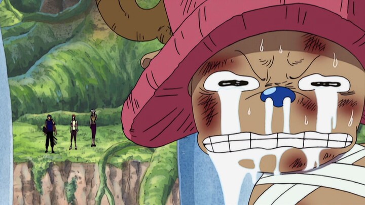 Happy daily life of the Straw Hats (19)!
