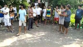 white kelso kaskas  2 times winner