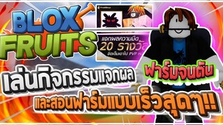 Roblox Blox Fruits ฟาร์มจนตัน - สอนมือใหม่ฟาร์มเร็วสุดๆ!! และกิจกรรมแจกผลปีศาจถาวรร้าน FirstShop!