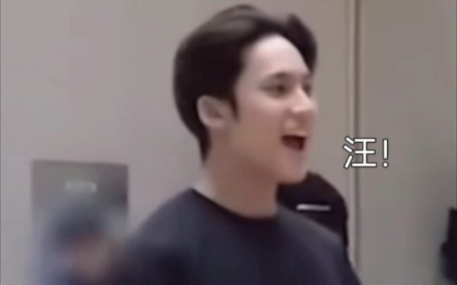 شممّت رائحة الجرو! أمامنا مالطي بارع جدًا في "المواء" [كيم مين كيو]