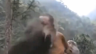 لا يوجد شيء أكثر فظاعة من هذا.