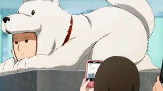 How strong is Dogman?