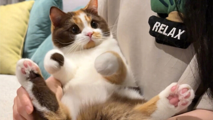 كيف يكون هناك طفل لزج إلى هذا الحد؟