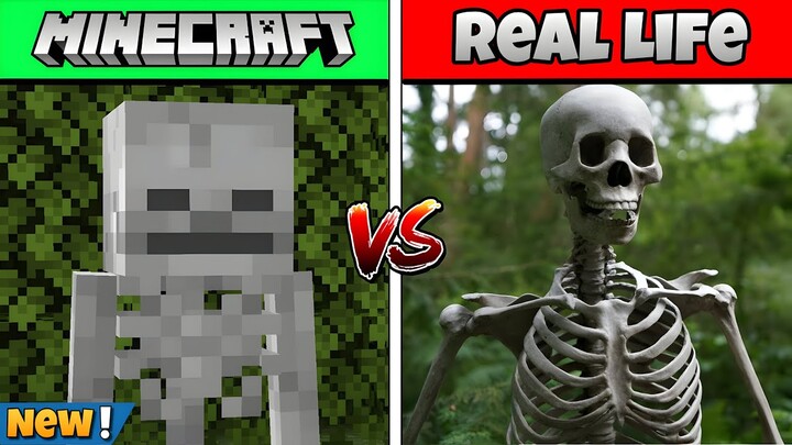 Minecraft In Real Life (Characters, Mobs, Animals, Items)