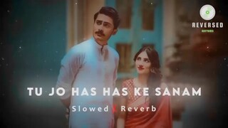 Tu Jo has ke sanam
