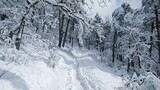 [Sports] Hiking in Snow | 2022.02.05