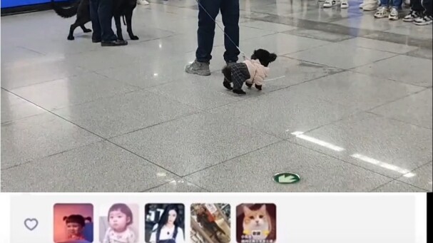 Teddy: Tôi thực sự không làm được