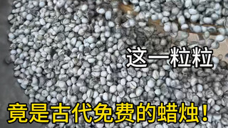 Với cái đầu của mẹ tôi, thời cổ đại chắc chắn phải là một thương nhân giàu có.