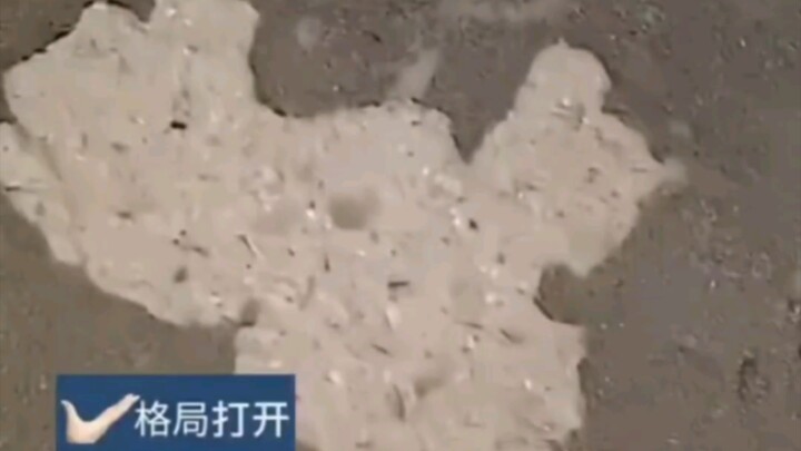 The vibe just leveled up.